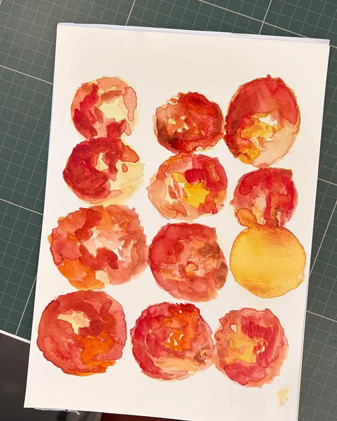 Aquarelle, une planche de tomates, watercolour made at Artichaut in Montmartre